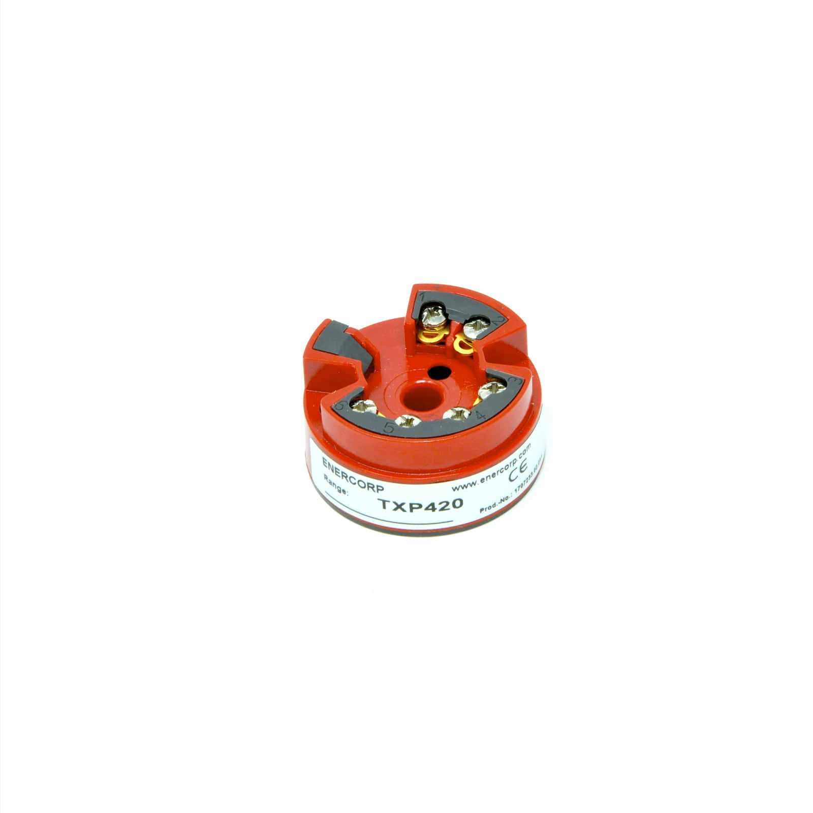 temperature_transmitter_TXP420_image1 temperature transmitter TXP420 image1