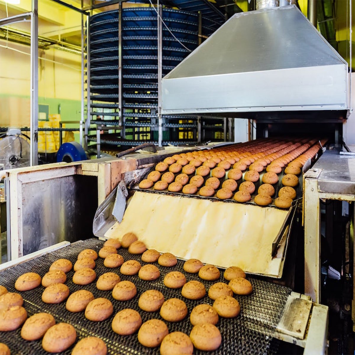 Al Raed Fresh Foods Processing Company